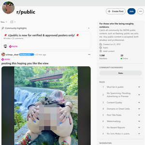 Reddit Public, 盗撮ポルノサイト