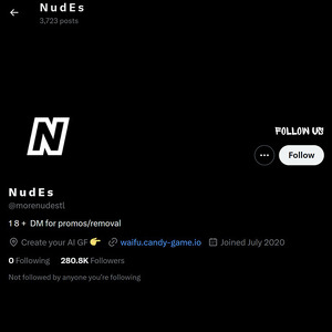 More Nudes, Twitter Porn Accounts