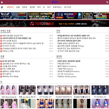 개조아