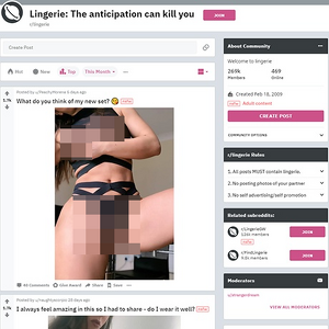 Lingerie, Reddit NSFW List