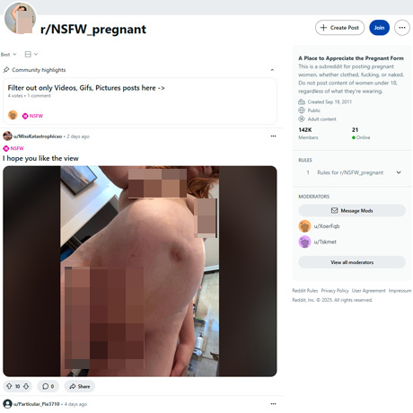 Reddit NSFW_Pregnant