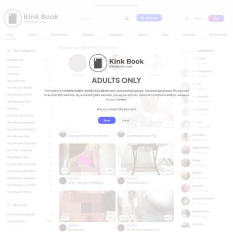 KinkBook