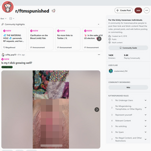Reddit FTMs Punished, FTM Porn Sites