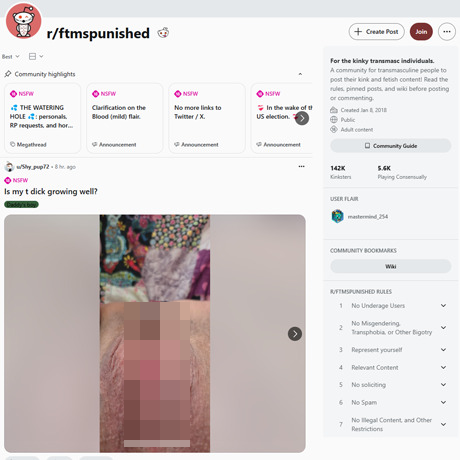 Reddit FTMs Punished