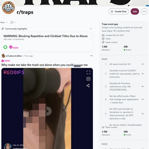 Reddit Traps, Reddit NSFW List