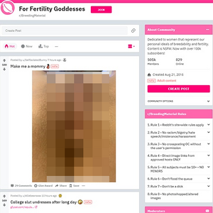 Breeding Material, Reddit NSFW List