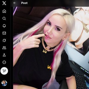 KsuColt, Twitter Porn Accounts