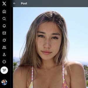 PPWyang, Twitter Porn Accounts