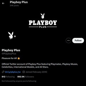 Playboy Plus, Twitter Porn Accounts