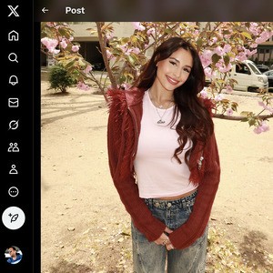 Sam Frank, Twitter Porn Accounts