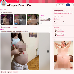 Reddit PregnantPorn NSFW