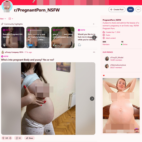Reddit PregnantPorn NSFW