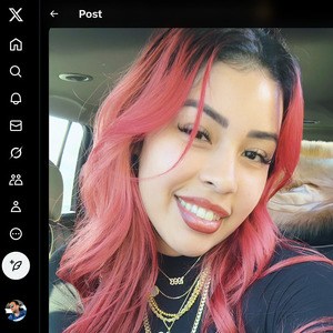 SecretyVette, Twitter Porn Accounts