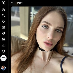 Reislin, Twitter Porn Accounts