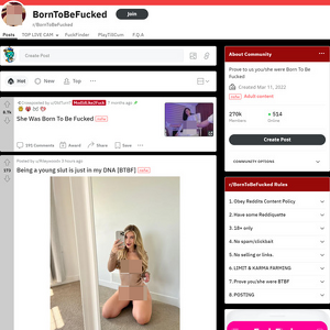 BornToBeFucked, Reddit NSFW List