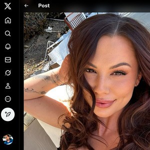 Aidra Fox, Twitter Porn Accounts