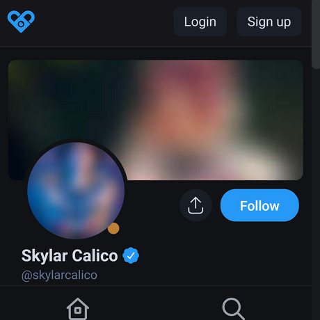 Skylar Calico