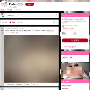Perfect Tits, Reddit NSFW List