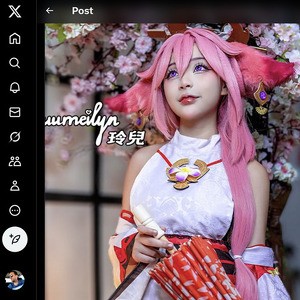 YuuMeilyn, Twitter Porn Accounts