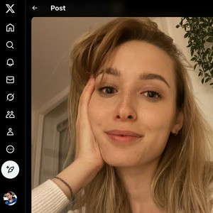 Kelly Collins, Twitter Porn Accounts