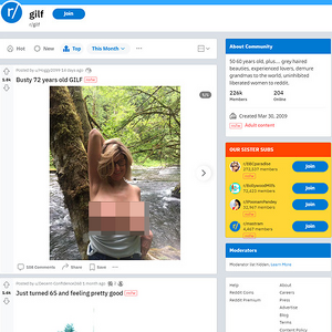 GILF Reddit, Reddit NSFW List