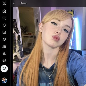 Jenna Lynn Meowri, Twitter Porn Accounts