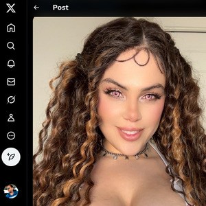Orcwaifu, Twitter Porn Accounts