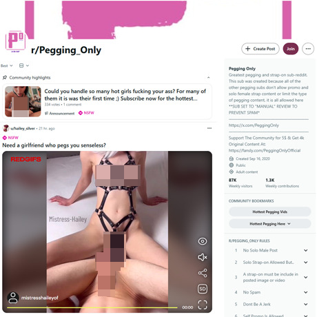 Reddit Pegging Only