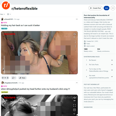 Reddit HeteroFlexible