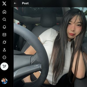 Elle Lee, Twitter Porn Accounts