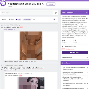 Porn, Reddit NSFW List