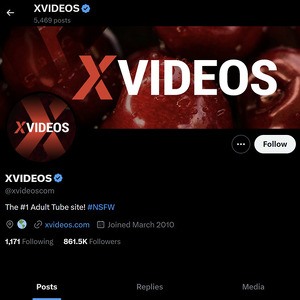 XVideos, Twitter Porn Accounts