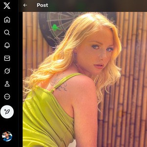 Dixie Lynn, Twitter Porn Accounts