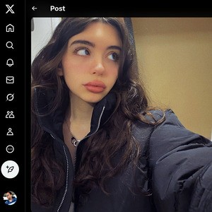 VirtualTorii, Twitter Porn Accounts