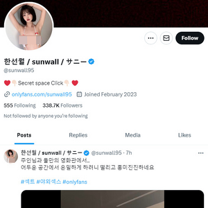 SunWall95, 트위터 포르노 계정
