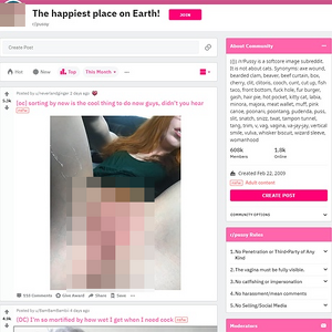 Pussy, Reddit NSFW List