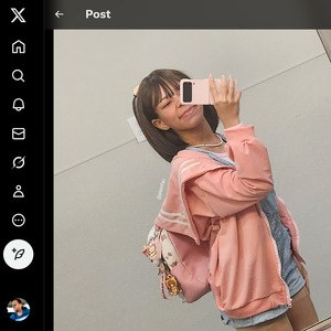Plainfac, Twitter Porn Accounts
