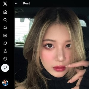 Ms Puiyi, Twitter Porn Accounts