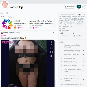 Reddit Chubby, Reddit NSFW List