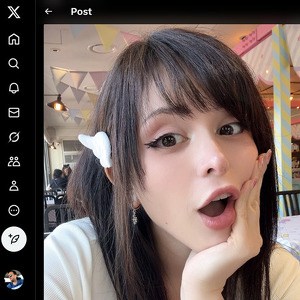 PinkChyu, Twitter Porn Accounts