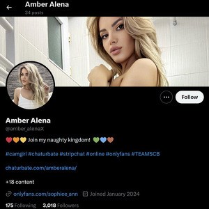 Amber Alena, Twitter Porn Accounts