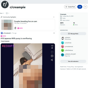 Creampie, Reddit NSFW List