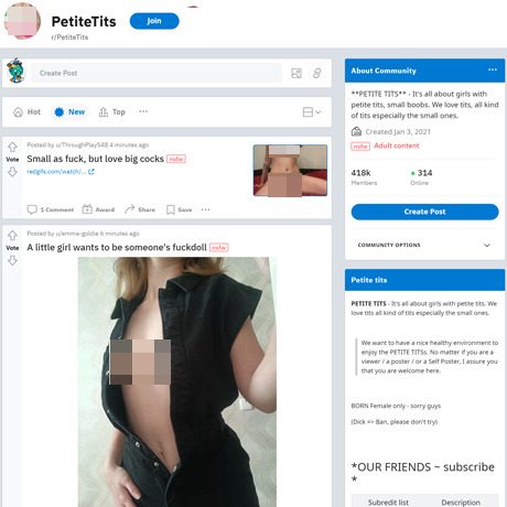 Reddit Petite Tits