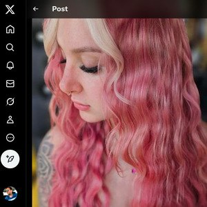 Skylar Vox, Twitter Porn Accounts