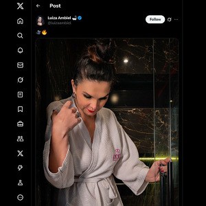 Luiza Ambiel, Contas Porno do Twitter