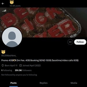 LiliWasHere, Twitter Porn Accounts