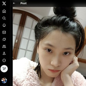 June Liu, Twitter Porn Accounts