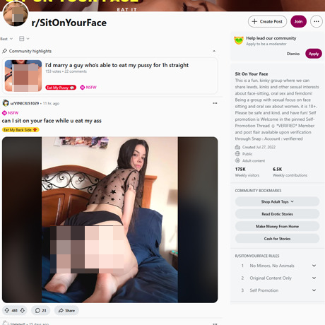 Reddit SitOnYourFace