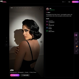 OnlyTwins AI, KI Porno Seiten