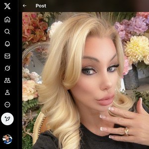 Brittany Andrews, Twitter Porn Accounts